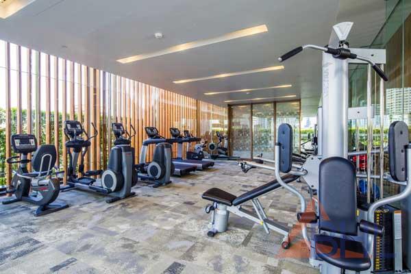 gym-luxury